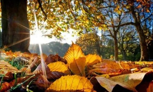 Autumn Term 2026-26